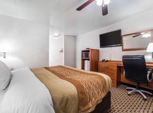 Elko Inn | Elko