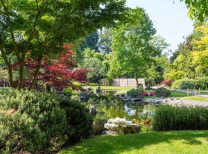 Hans Crescent | Norland