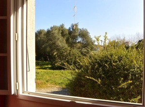 Rumana Pers | Aleria