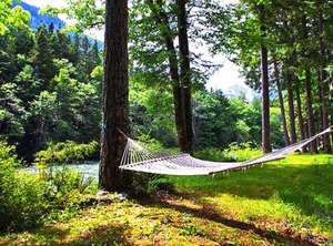 Rustic River Paradise | Baring