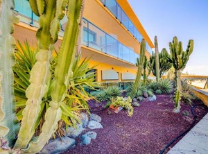 Playa Paraiso | Esquinzo