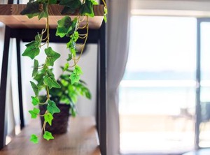 Point | Bloubergstrand