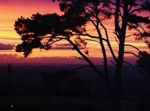 Shepherds | Raymonds Hill