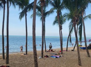 Treetop | South Pattaya