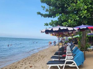 Treetop | South Pattaya