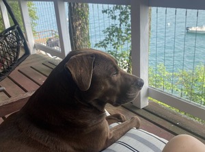 Skaneateles Lakefront | Moravia