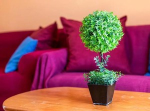 Casa Atlantica Morro | Bahia Calma