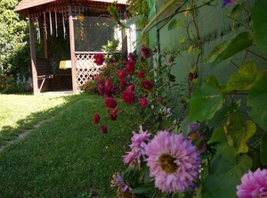 Holiday The Wlan Place | Heviz