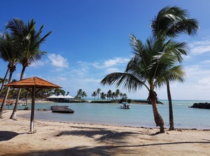 Fort Gosier The Beach | Bas du Fort