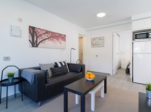 Angels | Puerto Rico