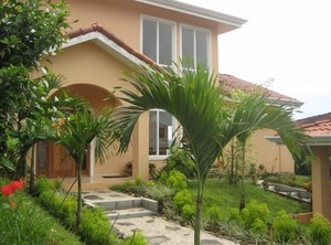Playa Del Coco | Coco