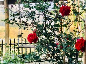 Homestay | Sa Pa