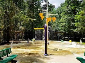 Tentrr State Park Site Louisiana Tickfaw Woodland Camp | Springfield