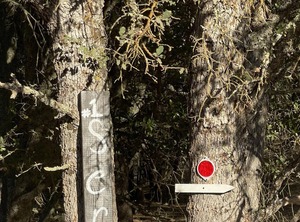 Tentrr Signature Site Rancho Amador | Drytown