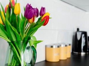 The Clifford Gathering | York