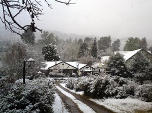 Hogsback Inn | Hogsback