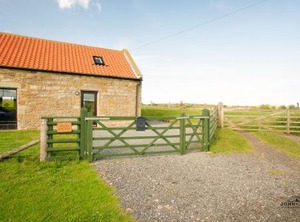 The Cow | Great Fryup Dale