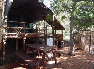 The Trading Post | Duiwerivier