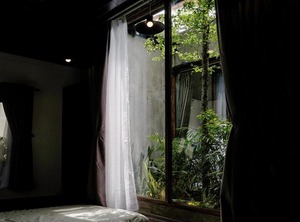 The Garden | Hai Chau