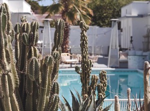 The Westcott | Uptown Design District