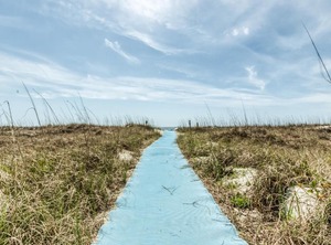 Br | Cherry Grove Beach