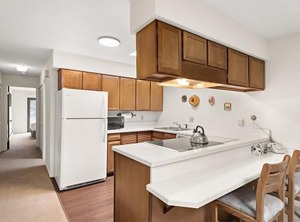 Timber Ridge | Aspen