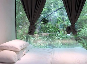 Time Capsule Retreat | Sungai Lembing