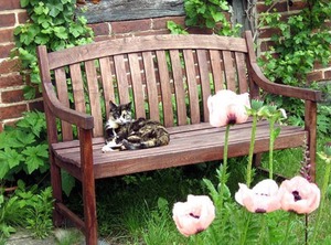 The Countryside | Kittendorf