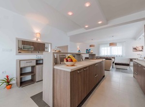 Villa Dalmatia No | Debeljak