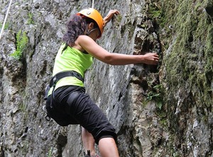 Vulkaneifel Type | Gerolstein