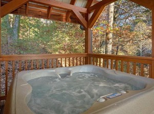 Wet Bear Paws | Caton