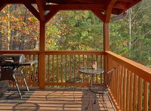 Wet Bear Paws | Caton