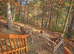 Wet Bear Paws | Caton