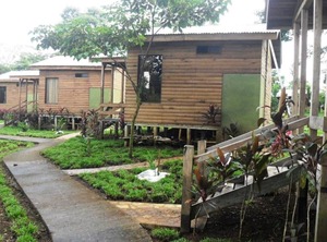 Wetlands | Cano Negro