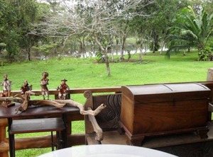 Wetlands | Cano Negro