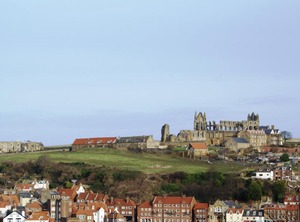 White Horses | Whitby