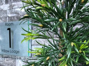 Willow Lodge Hambleton | Hambleton