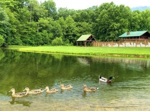 Ridge | Wears Valley