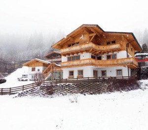 Alpensteinbock Saalbach 