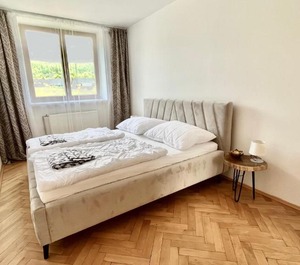 Apartmán Deštné 