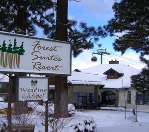 Forest Resort At Village Nights 