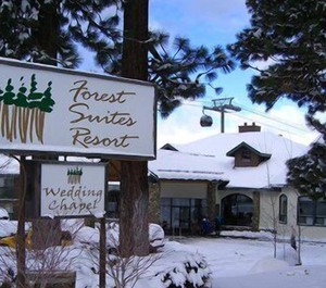 Forest Resort At Village Nights 
