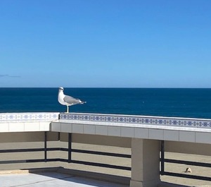 Les Terrasses Du Levant 