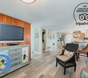 Cottage Shore Rental Beach 