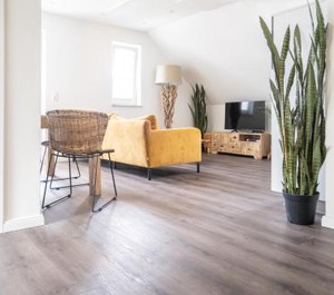 Dünenquartier Zingst 