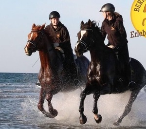 Holiday App Ribnitz Damgarten Hirschburg