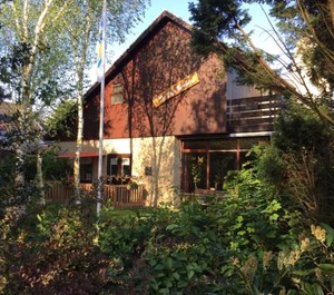 Vier Berken 