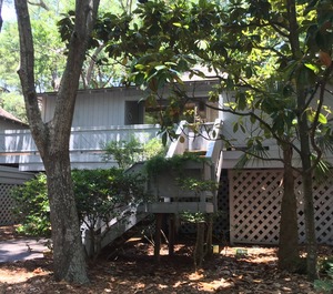 Summerwind Cottage 
