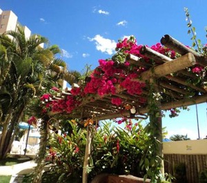 Ecologic Park Caldas Novas 