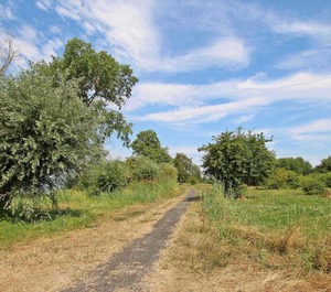 Ferienwohnung Rechlin See